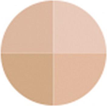 Image du produit Sensai Poudre Cellulaire Performance Pressed (Beige)