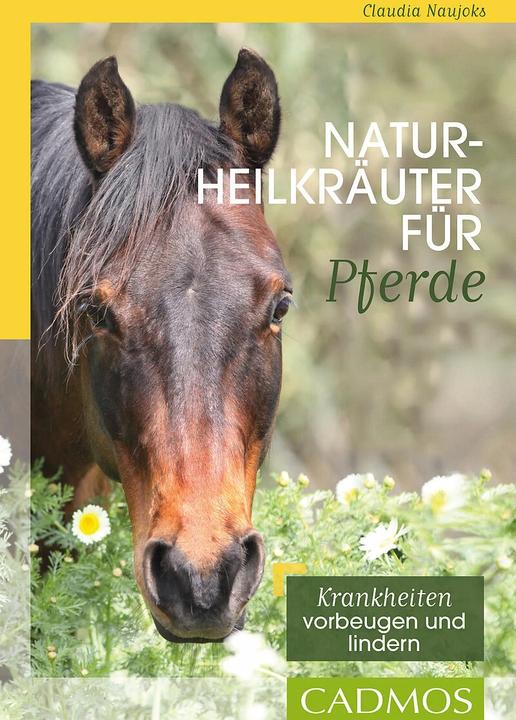 Produktbild Naturheilkräuter für Pferde (1 x, 312 g)