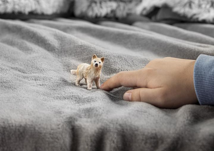 Produktbild Schleich Polarwolf Welpe