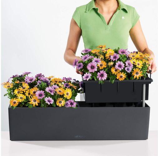 Produktbild Lechuza Balconera Color (19 cm)