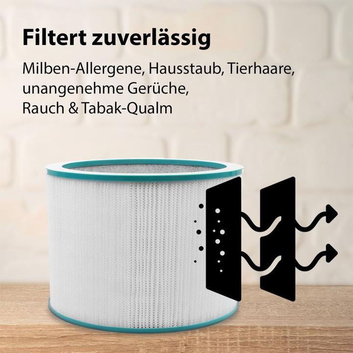 Immagine prodotto Hermex Set di filtri HEPA a 360° compatibile con il filtro dell'aria Dyson HP01 (1 x)