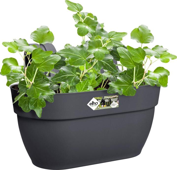 Actual product image Elho Flower Bowl (36 cm)