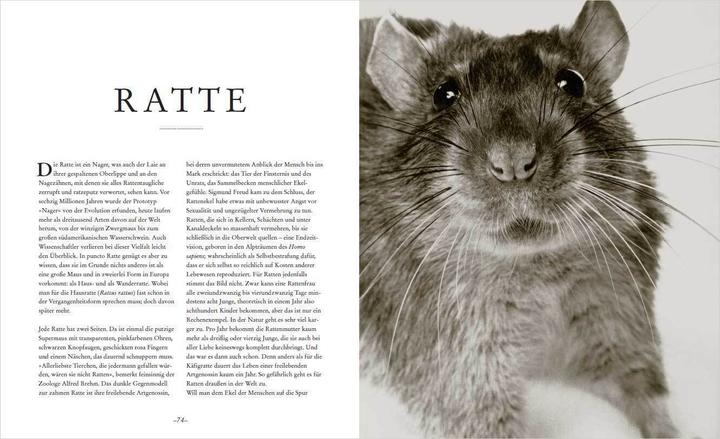 Produktbild Die Seele der Tiere. Gesichter. Gefühle. Geschichten (Deutsch, Sabine Remy-Schwabenthan, 2023)
