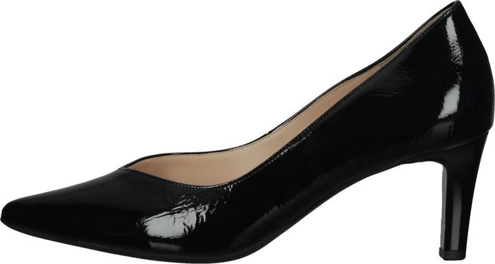 Image du produit Högl Pumps (39)