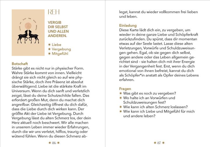 Produktbild Spirituelle Botschaften von deinem Animal Spirit (Deutsch, Laura Malina Seiler, 2024)
