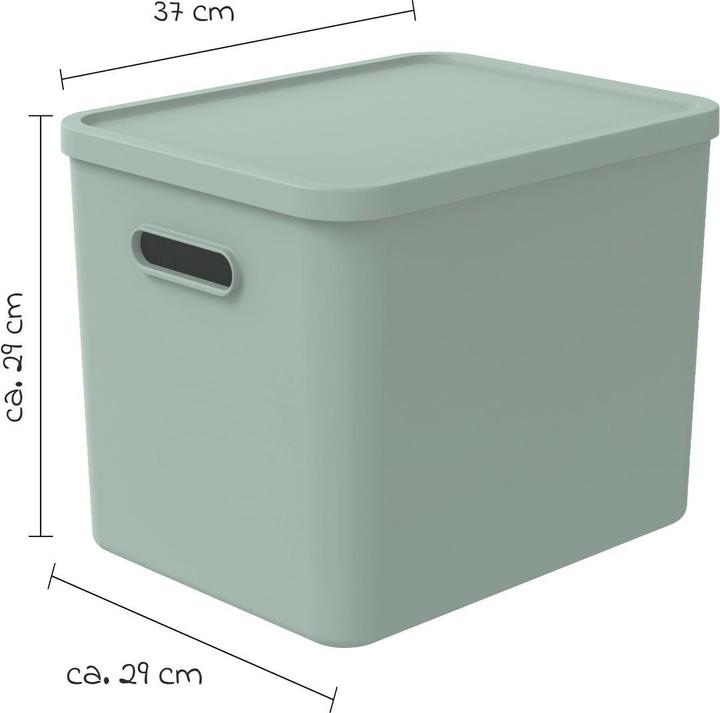 Actual product image Rotho Babydesign Spielzeugbox KAYO L Sage Green