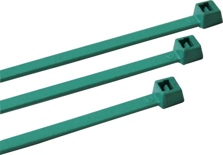 Produktbild Brady Kabelbinder mit Metallerkennung Nylon Blau-Gruen 177.8 x 4.57mm 100 Stck (100 Stk.)
