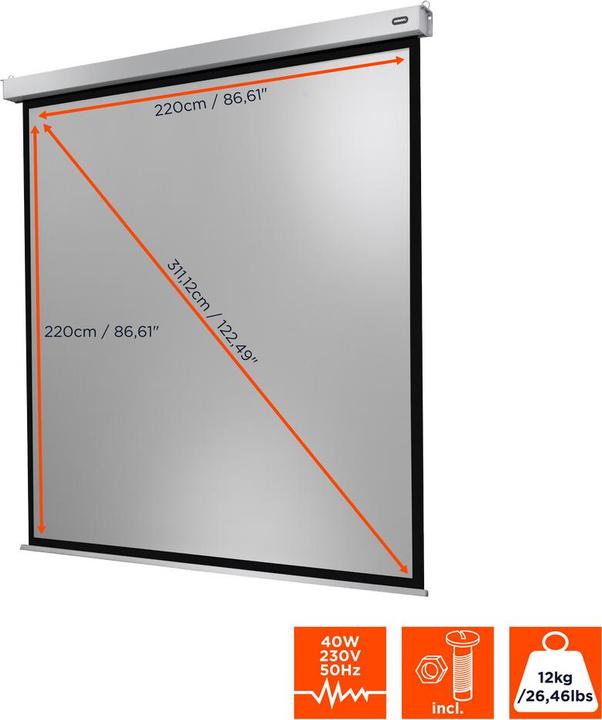 Image du produit Celexon Moteur Professional Plus (122", 1:1)