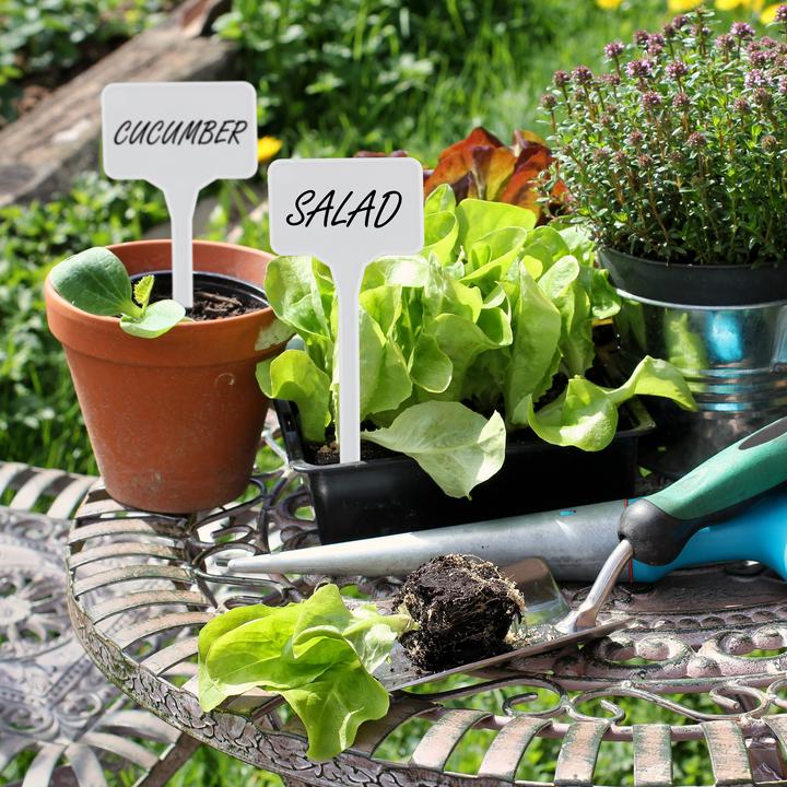 Produktbild Relaxdays Pflanzenschilder (0.20 cm, 5.50 cm)