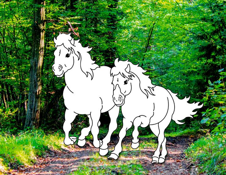 Image du produit Livre de coloriage Chevaux de rêve : la nature sauvage