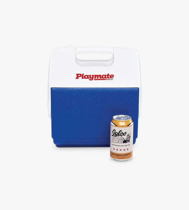 Image du produit Igloo petite boîte à glace pour moniteur (6 l)