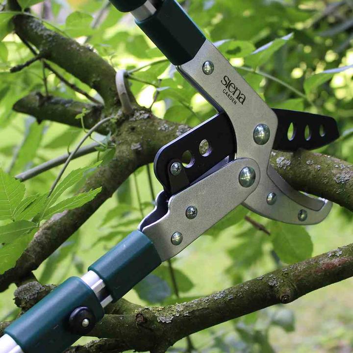 Produktbild Siena Garden Pro Alu Amboss Astschere