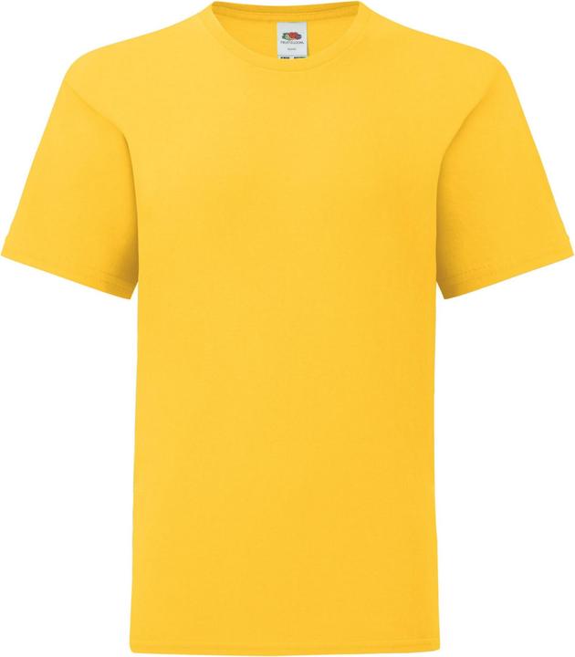 Fruit of the Loom Iconic 150 TShirt