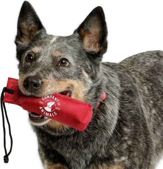 Actual product image Company of Animals Bourrelet poignée nylon, 14 cm, rouge
