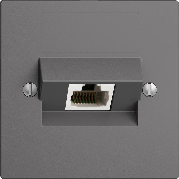 Image du produit Feller Prise RJ45 ITplus gris foncé