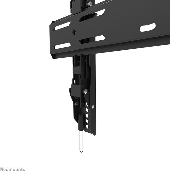 Produktbild Neomounts Wandhalterung WL35S-850BL14 Schwarz (Wand, 75", 60 kg)