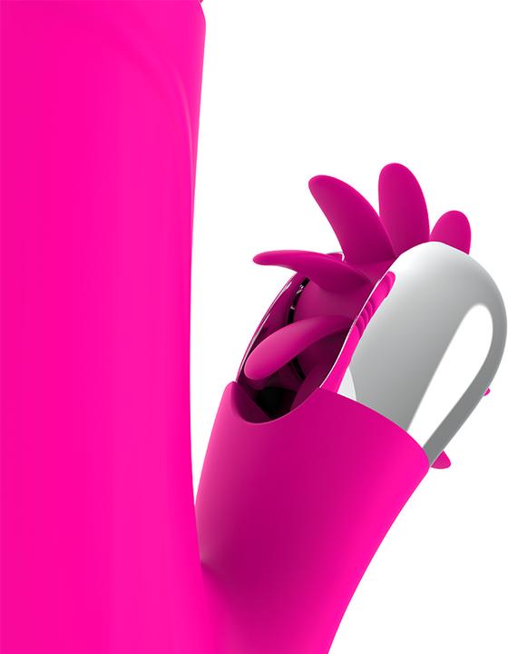 Actual product image Diversia HARE TOP & BOTTOM 24 CM