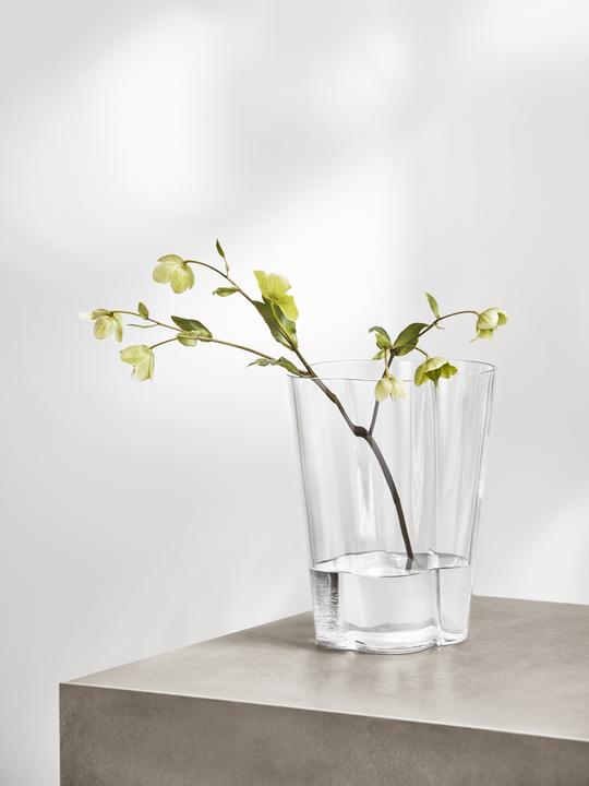 Actual product image Iittala Aalto Collection Vase (1 x)