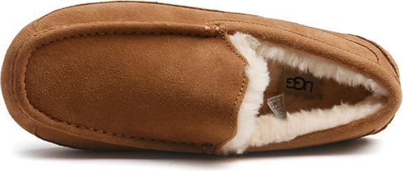 Actual product image Ugg Ascot (43)