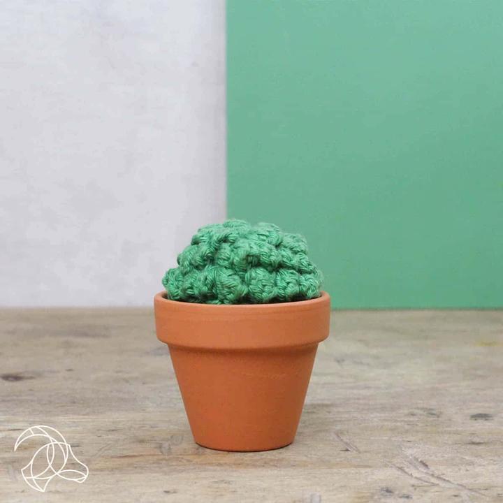 Actual product image Hardicraft Cacti - Crochet Set
