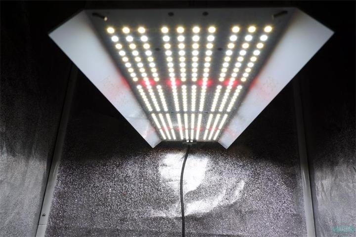 Produktbild HortiOne LED Lampe 420 (LED)