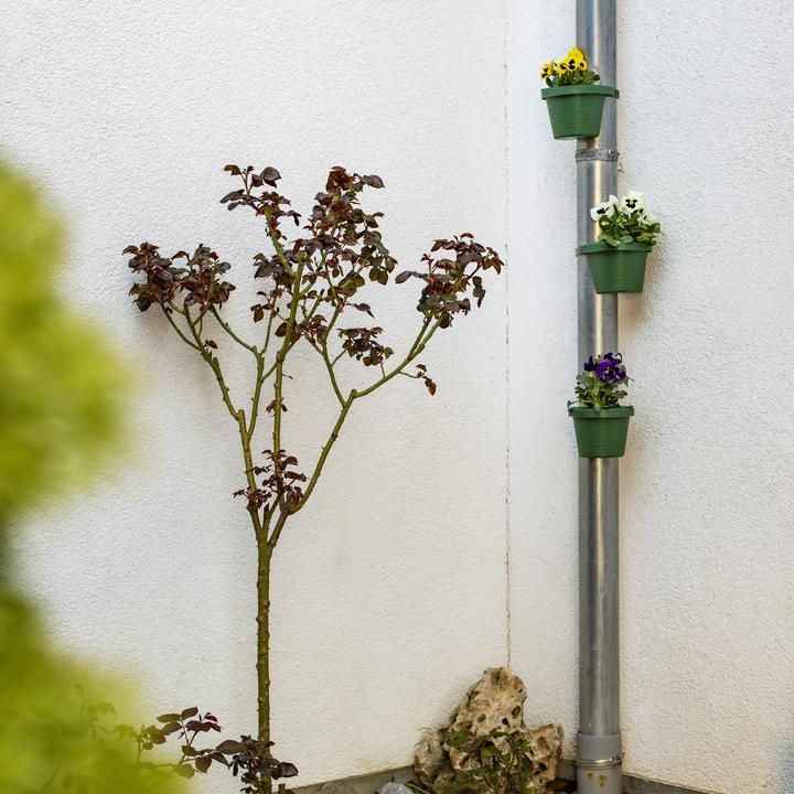 Produktbild UPP Fallrohr-Blumentopf 3er Set Pflanztopf Regenrohr Pflanzkübel