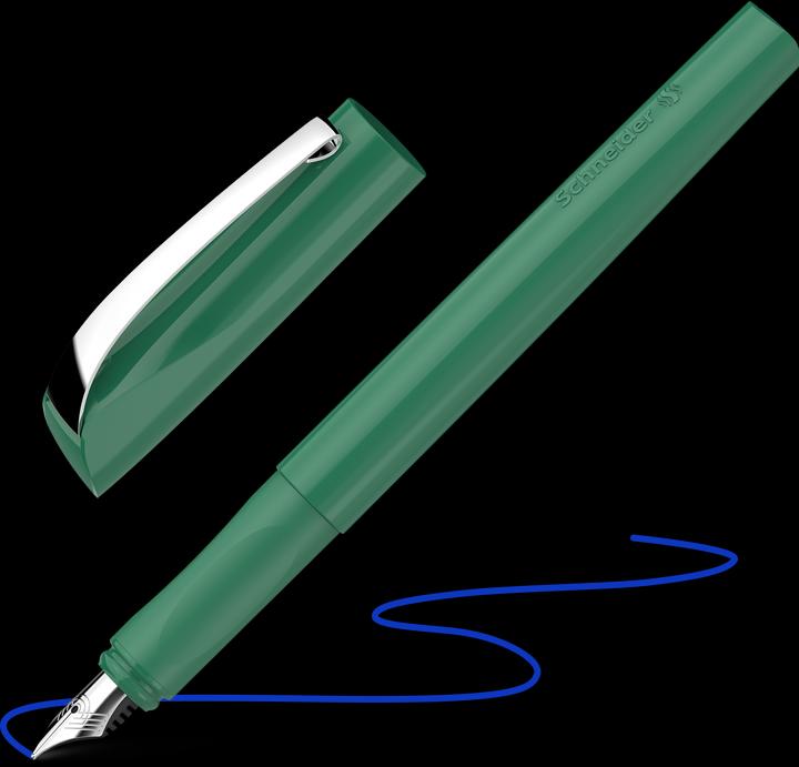 Schneider Fountain pen M Ceod Colour green nature (Green Nature, 1 x)