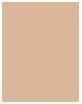 Actual product image L'Oréal Paris Infaillible 24H Fresh Wear (140 Golden Beige)