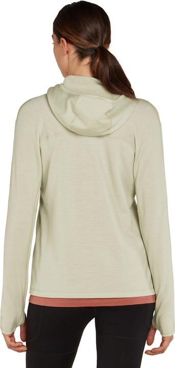 Immagine prodotto Icebreaker Felpa con cappuccio 360 RealFleece Elemental L/S da donna (M)