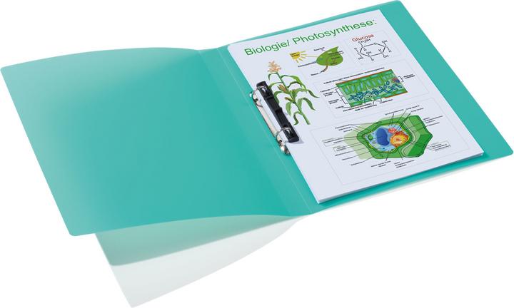 Immagine prodotto HERMA Raccoglitore ad anelli A4 traslucido (A4, 25 mm, 1 Pezzo/i)