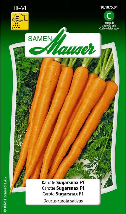 Actual product image Samen Mauser Carrot Sugasnax F1 (Vegetable seeds)