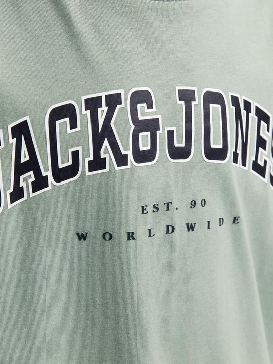 Actual product image Jack & Jones Jjecaleb Varsity Tee Ss O-Neck Noos Jnr (164)
