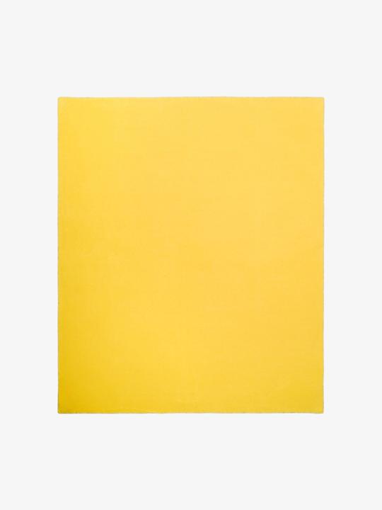 Actual product image Zoeppritz Soft-Fleece (200 x 160 cm)