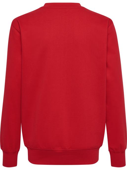 Actual product image hummel Hmlgo 2.0 Sweatshirt Kids (128)