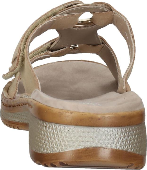 Immagine prodotto Ara 12-29003 - 55891 (40)