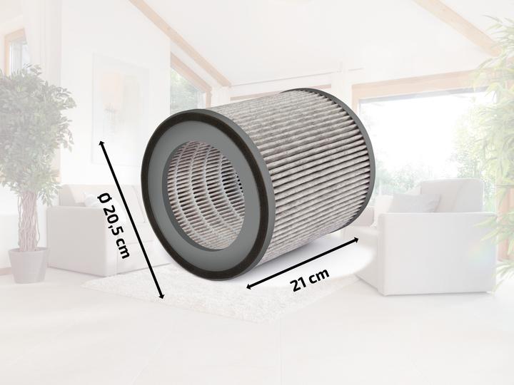 Actual product image Soehnle Filter for Clean Connect 500 (1 x)