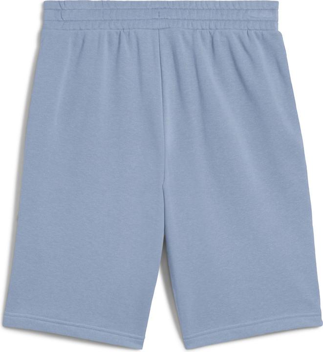 Actual product image Puma ESS 2 COLOR No. 1 Logo Shorts 10" TR (XXL)