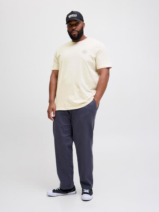 Actual product image Jack & Jones Plus Size Rückenprint T-shirt T-shirt (4XL)