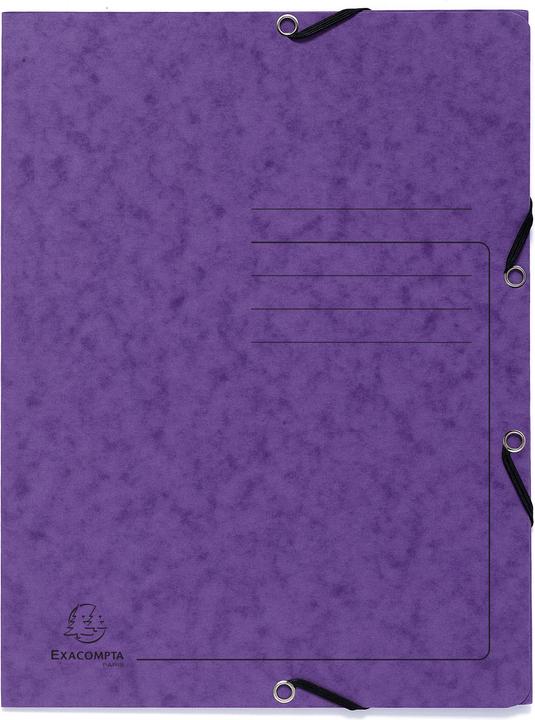 Actual product image Exacompta Corner folder 'Colorspan (A4, 425 x)