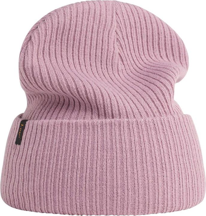 Lee Mütze Ribbed Beanie (One Size)