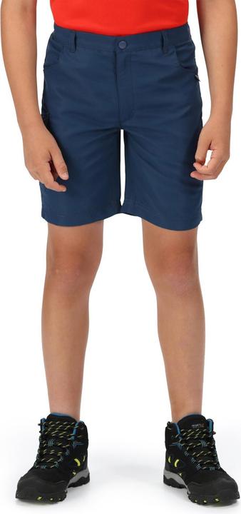 Actual product image Regatta Sorcer Ii Shorts (146)