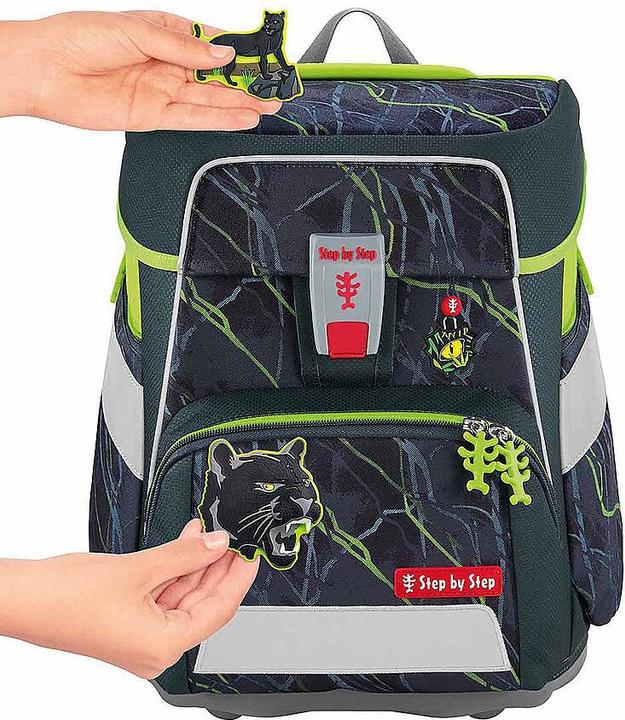 Actual product image Step by Step Danger Cat Chiko (20 l)