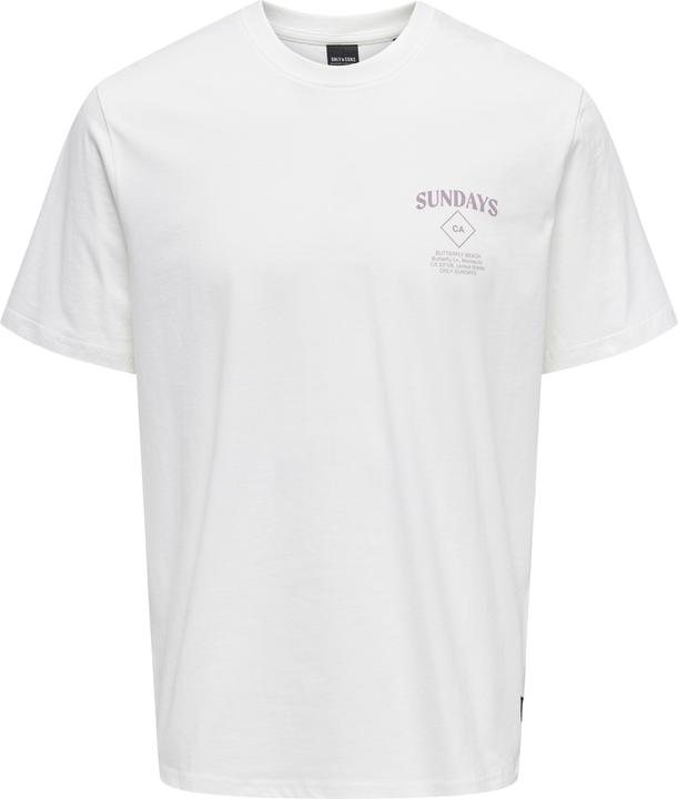 Only & Sons Onskye Reg Photo Ss Tee (L)