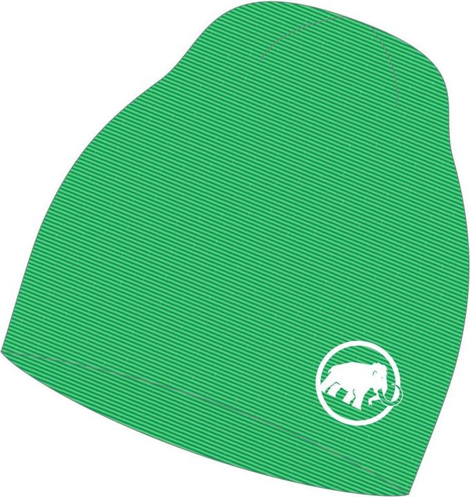 Actual product image Mammut Taiss Light Beanie (One size)