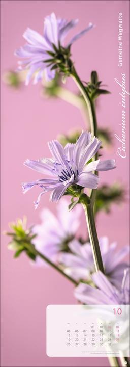 Produktbild Magic Flowers Vertical Kalender 2026 (24,5 x 69 cm, Harter Einband, Deutsch)