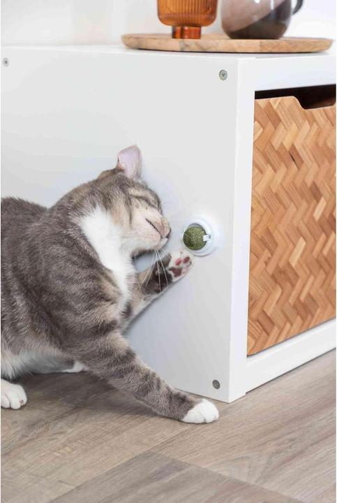 Actual product image Trixie Catnip Ball (Cat ball toy)