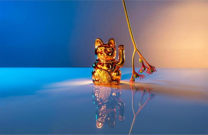 Actual product image Donkey Products Lucky Cat Shiny (8 x 10.5 cm)