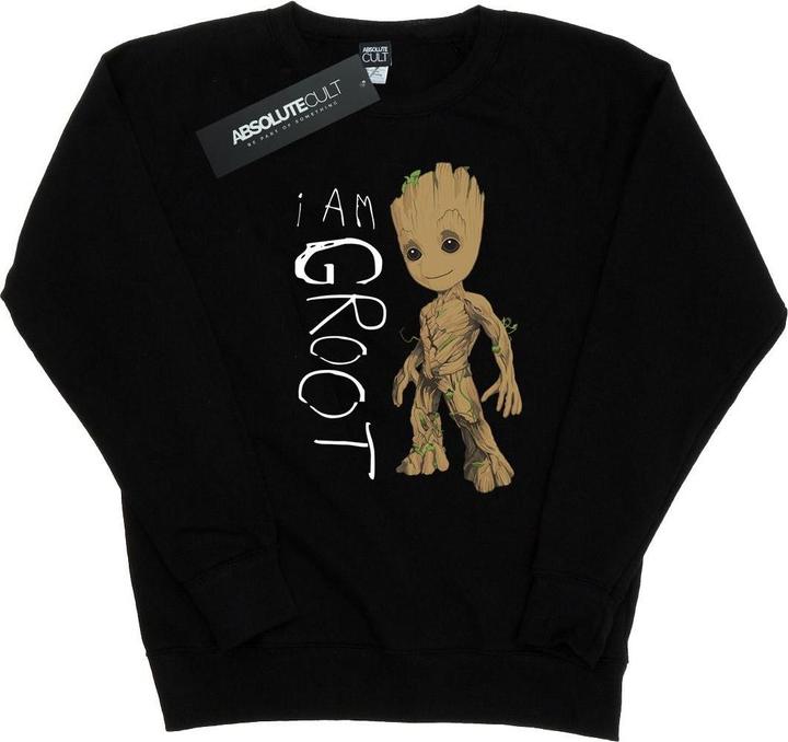 Produktbild Guardians Of The Galaxy I Am Groot Scribbles Sweatshirt (XXL)