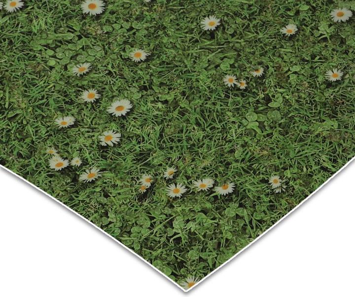 Actual product image Karat Daisies