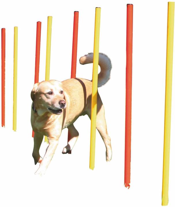 Produktbild Kerbl Komplett-Set (One Size, Agility)